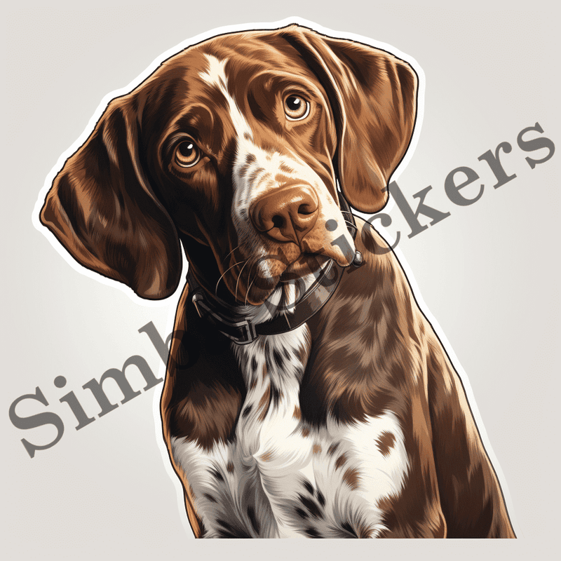 German Shorthaired Pointer dogs looking sorry, image set, 10 images