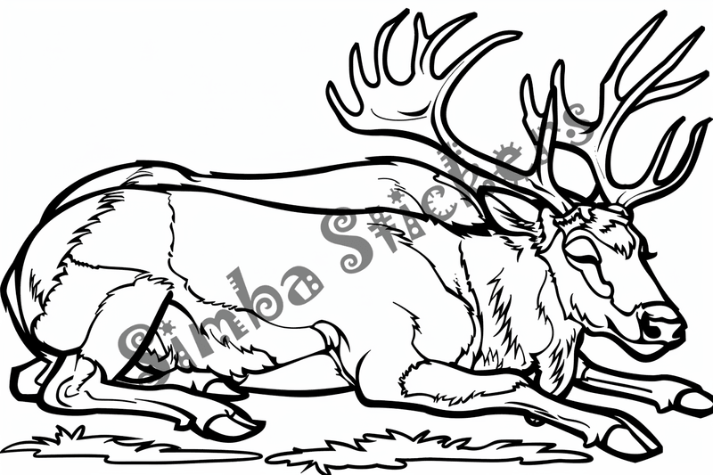 Colouring pages, bundle of elks, 25 images 2