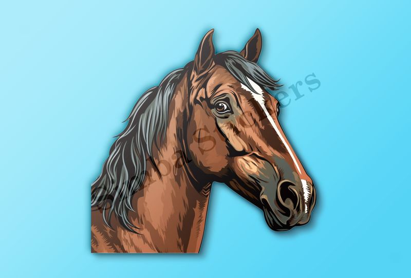 Brown horse , side glance, nd2qsc