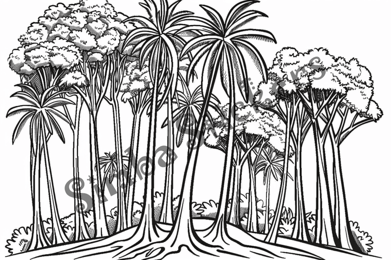 Colouring pages, bundle of Equatorial Rainforest landscape, 25 images 2