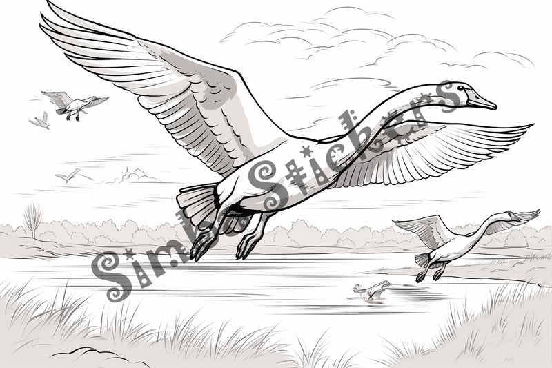 Colouring pages, bundle of geese flying, 10 images