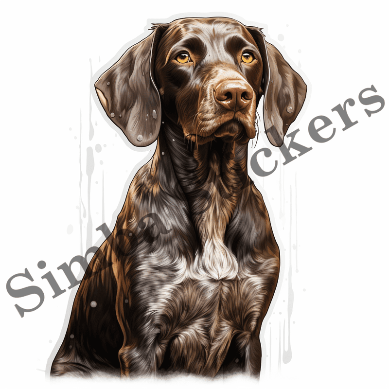 German Shorthaired Pointer dogs in the rain, image set, 10 images