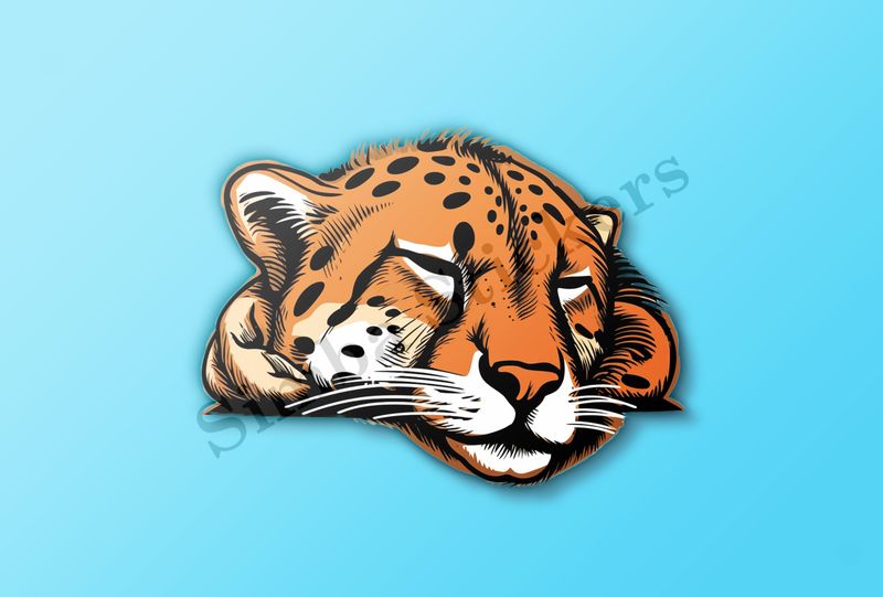 Cheetah sleeping, head, gv4jqr