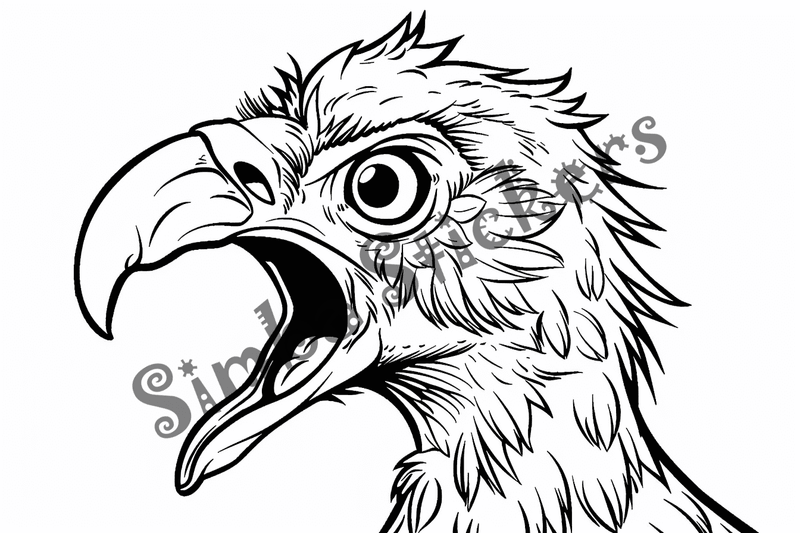 Colouring pages, bundle of vultures, 50 images, kqxcna