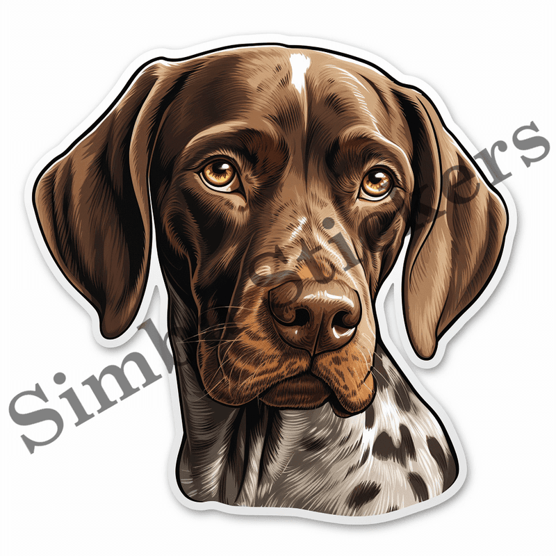 German Shorthaired Pointer dogs, image set, 10 images