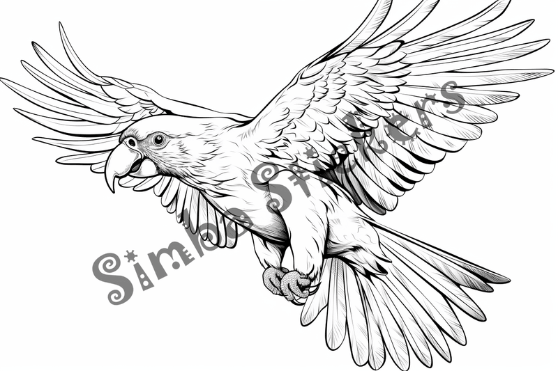 Colouring pages, bundle of parrots 2, 25 images