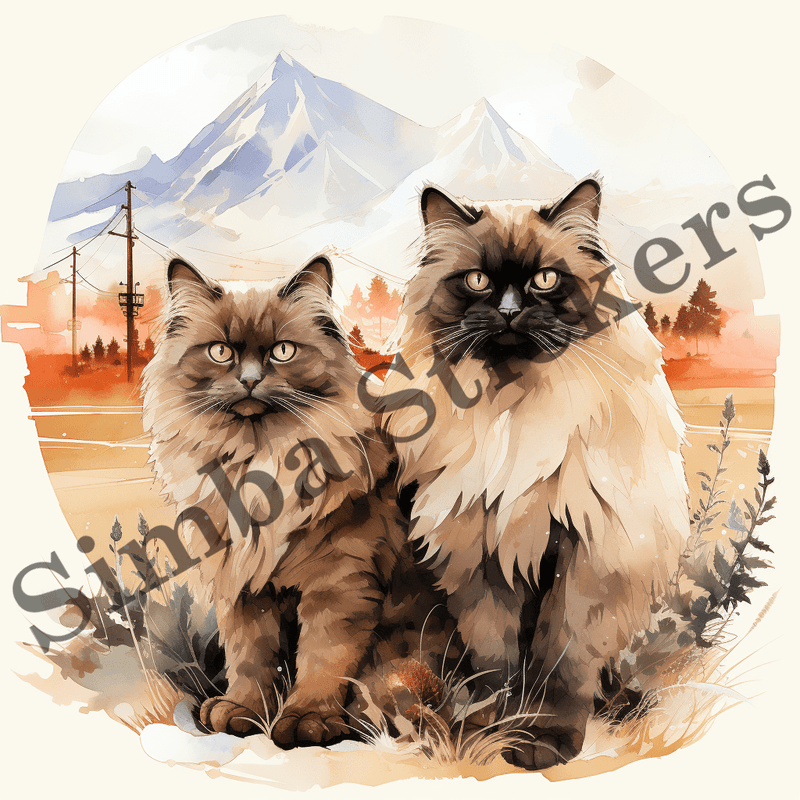 Himalayan cats, watercolour, image set, 10 images
