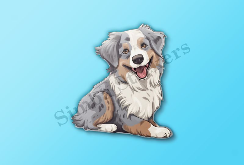 Australian Shepherd dog