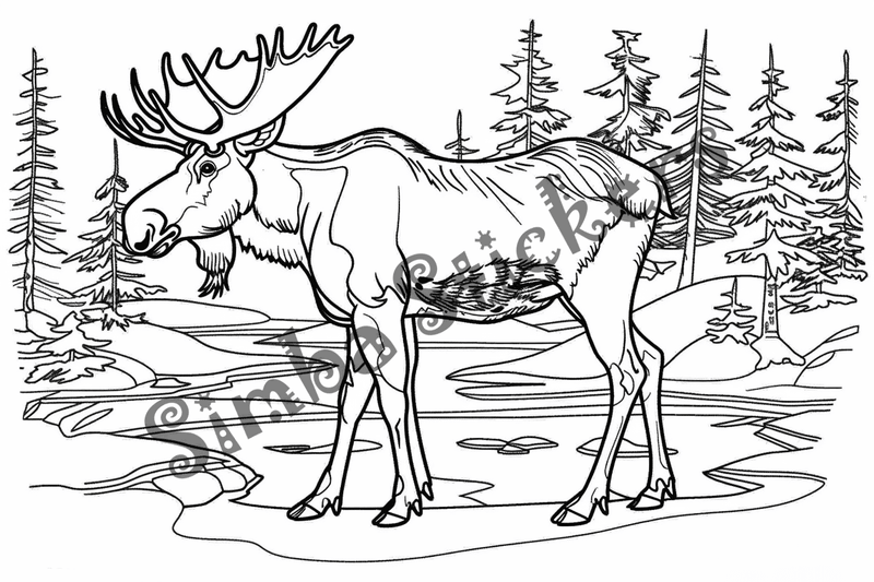 Colouring pages, Bundle of moose, 50 images