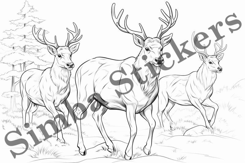 Colouring pages, bundle of deer, 25 images