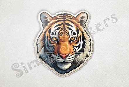 Tiger face, stone-faced gaze