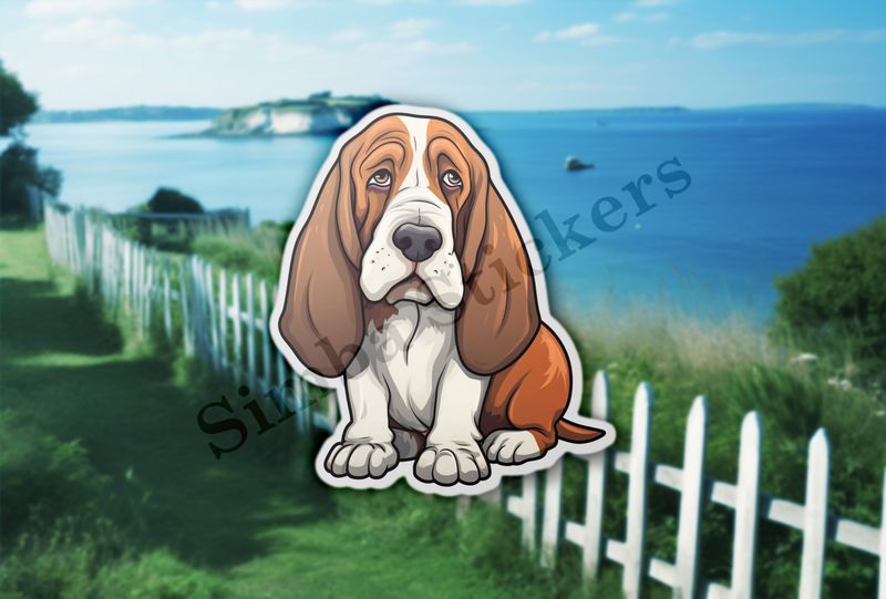 Basset Hound dog
