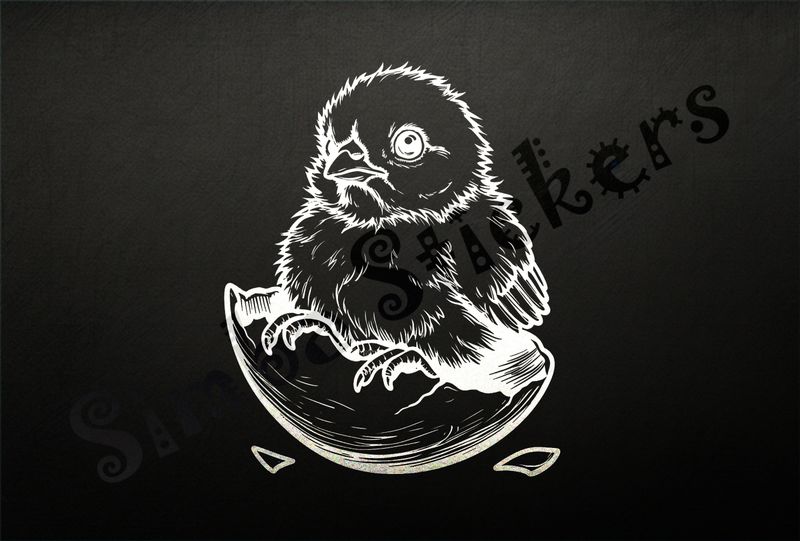 Chick sitting on egg shell after hatching, outline art