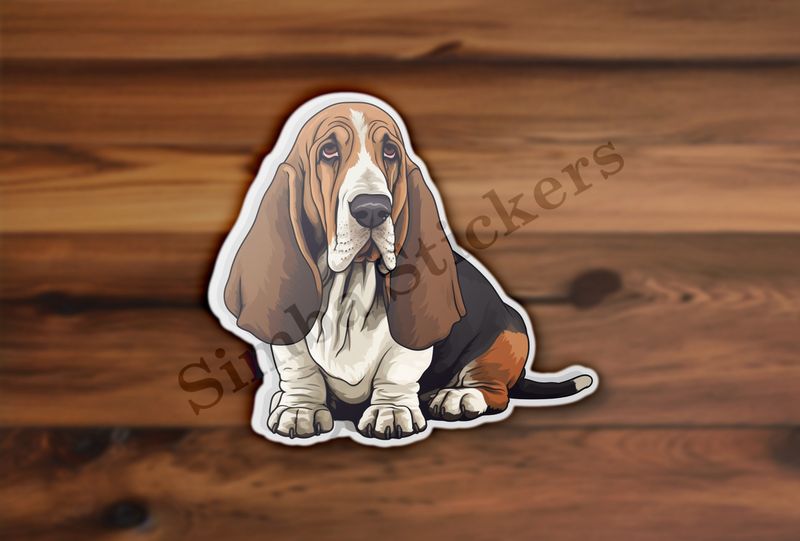 Basset Hound dog