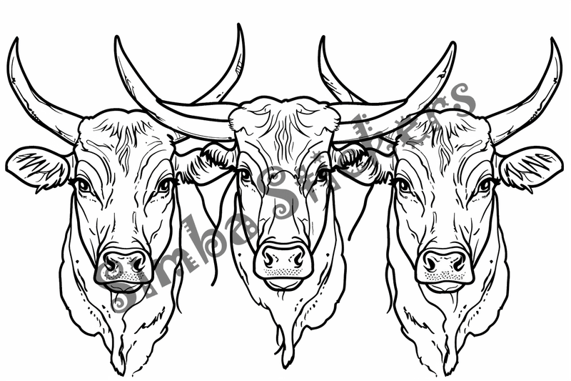 Colouring pages, bundle of cattle, 25 images