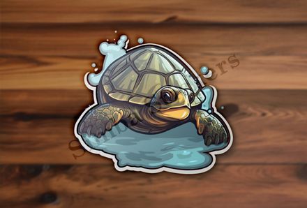 Tortoise splashing water