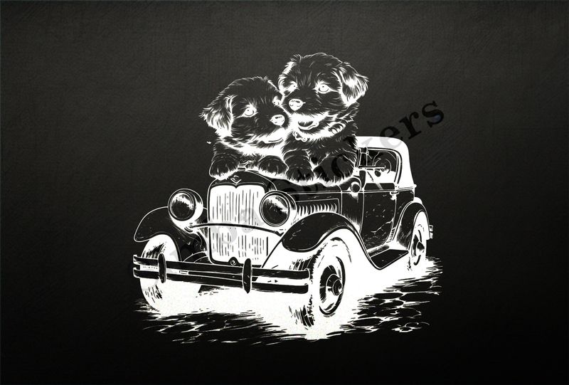 Dogs in love sitting on the hood of a classic car, outline art