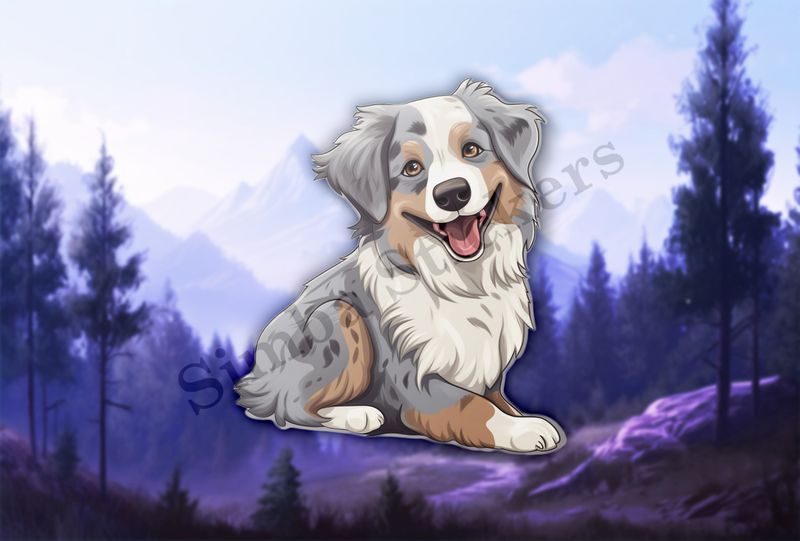 Australian Shepherd dog