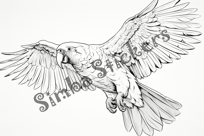 Colouring pages, bundle of parrots, 25 images