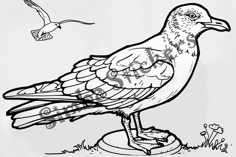 Colouring pages, bundle of seagulls, 50 images