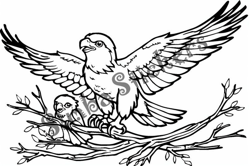Colouring pages, bundle of eagles 2, 25 images