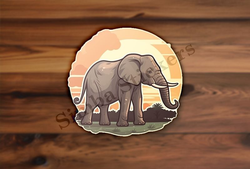African elephant at sunrise