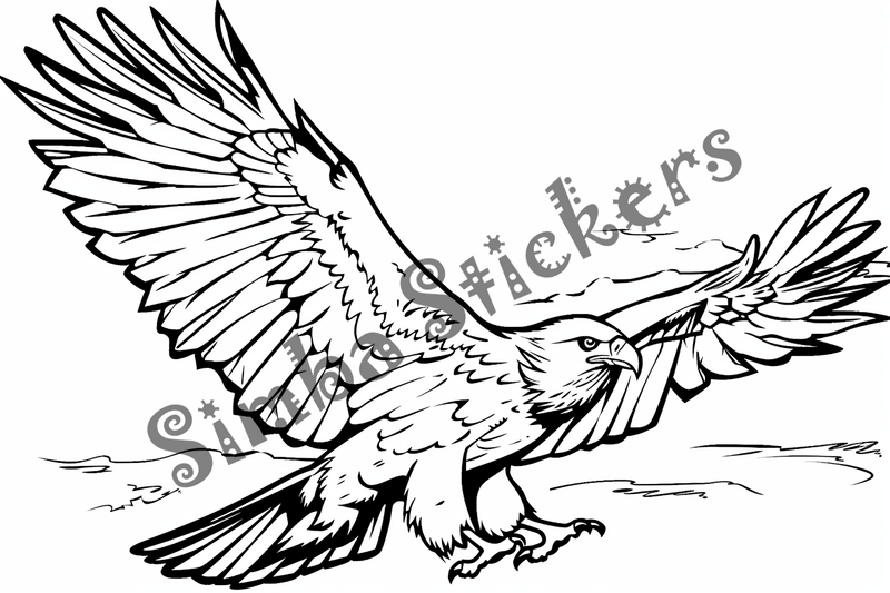 Colouring pages, bundle of eagles 2, 25 images