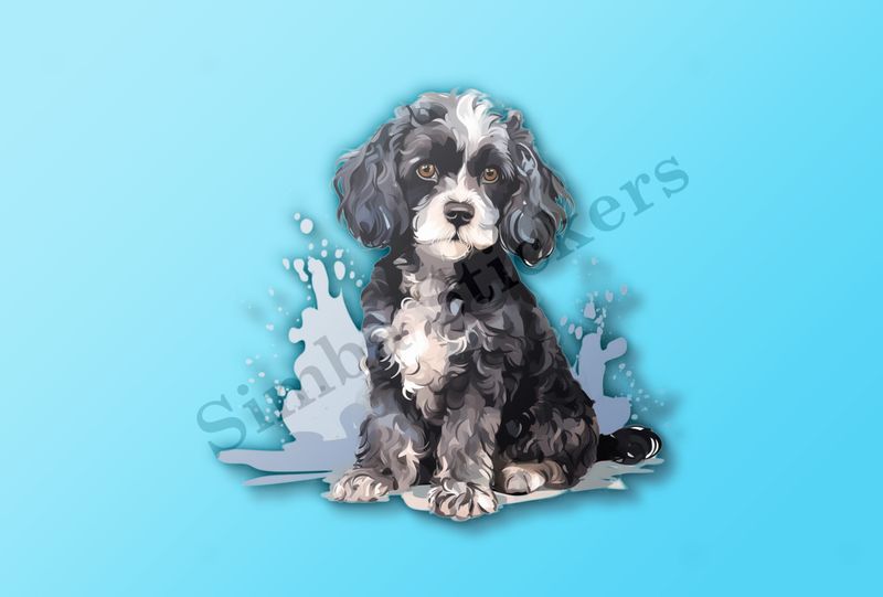 Black and white Cookapoo dog, watercolour