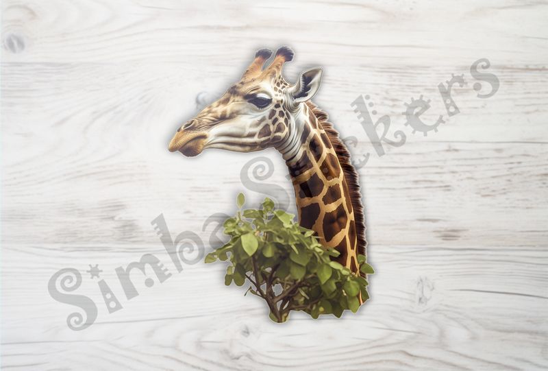 Giraffe behind tree leaves in the Savanna