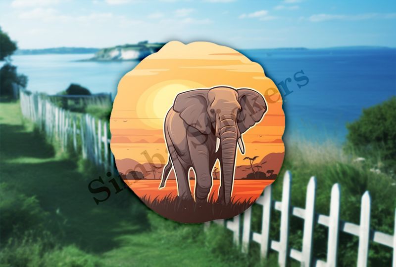 African elephant at sunrise