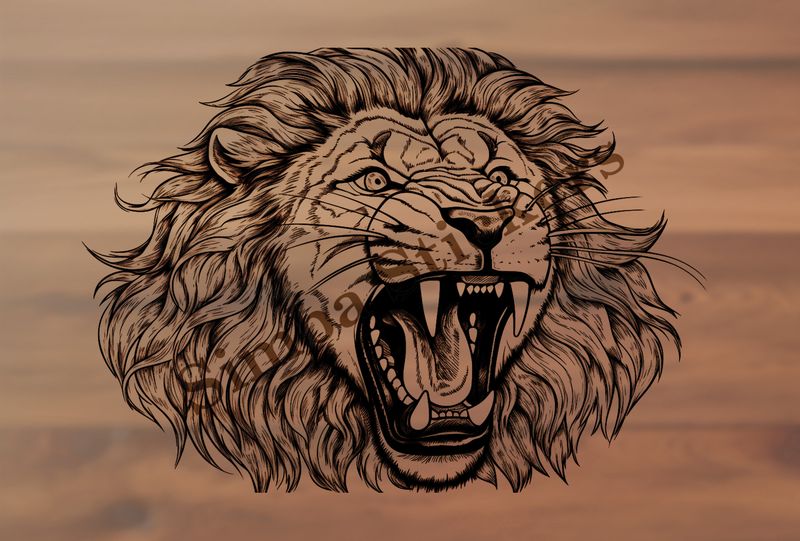 Lion roaring, head, outline art