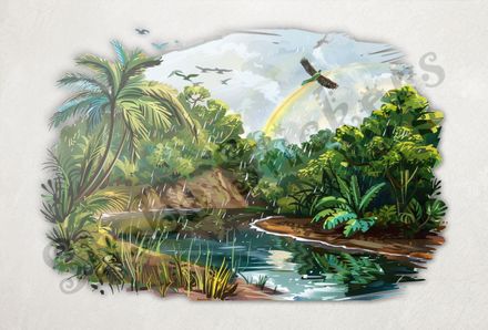 Equatorial Rainforest under the rainbow, with flowing river
