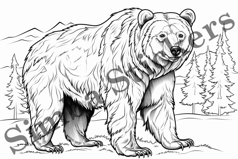 Colouring pages, Bundle of bears, 25 images