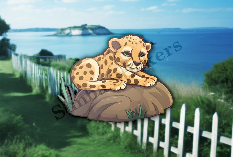 Baby cheetah on a rock