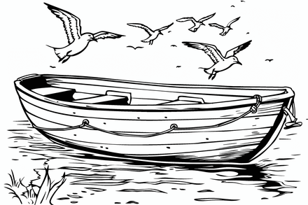 Colouring pages, bundle of seagulls 2, 25 images