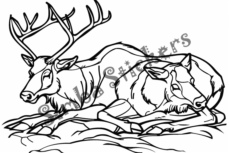 Colouring pages, bundle of elks, 25 images