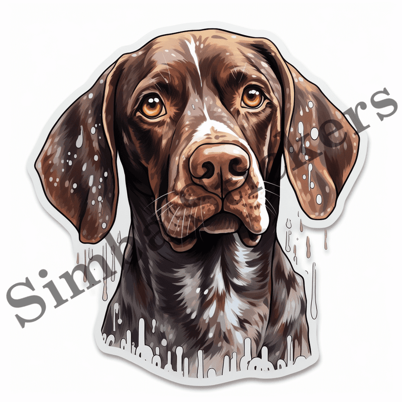 German Shorthaired Pointer dogs in the rain, image set, 10 images