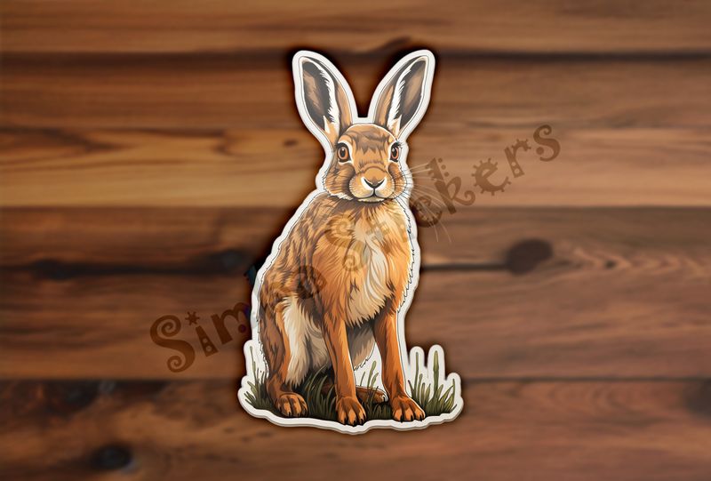 Hare ready to spring