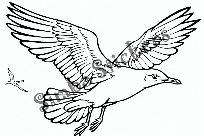 Colouring pages, bundle of seagulls 3, 25 images