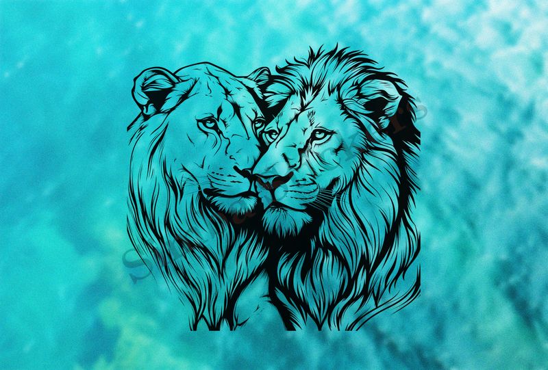 Lion and lioness cheek-to-cheek, romantic, outline art
