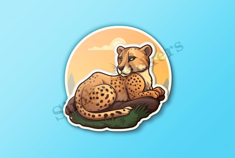 Young cheetah on a rock