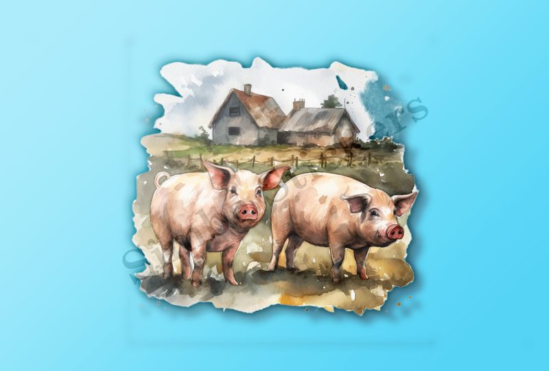 Two pigs on a farm, watercolour
