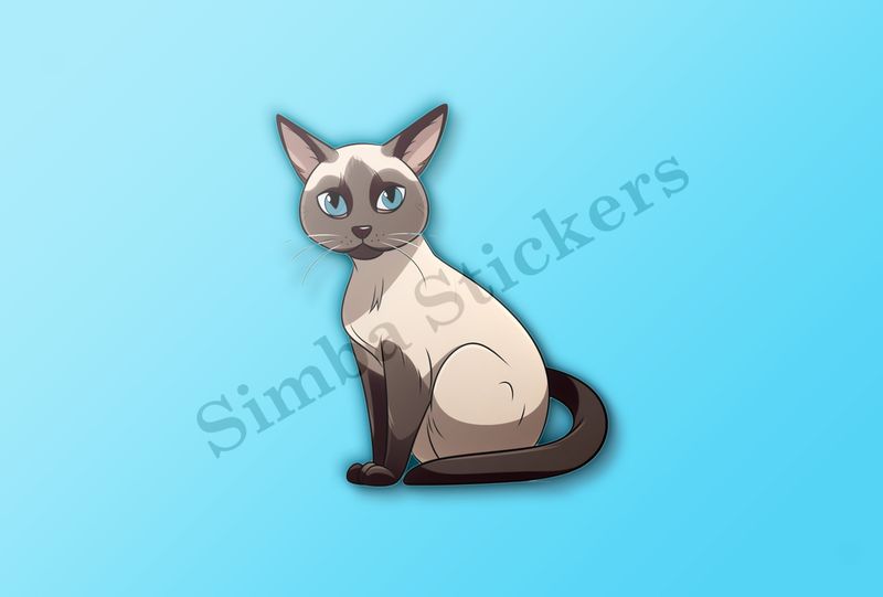 Siamese cat sitting