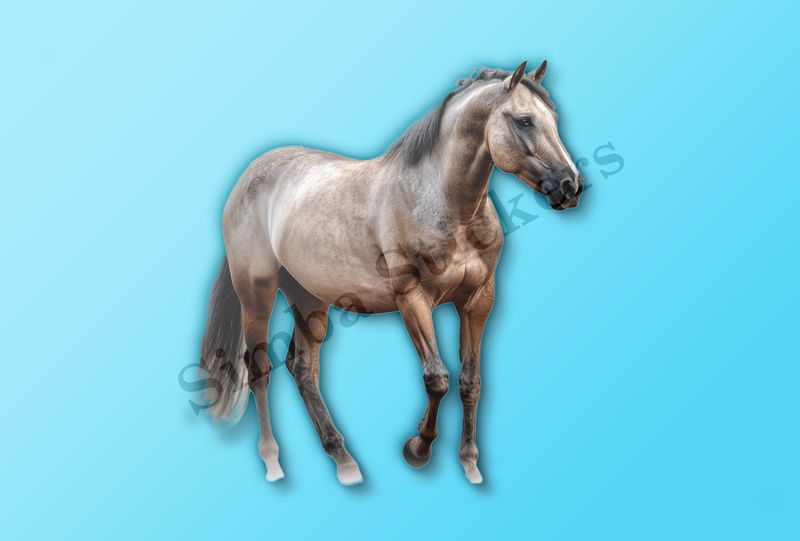 Brown horse , partial side view, tzqrfd