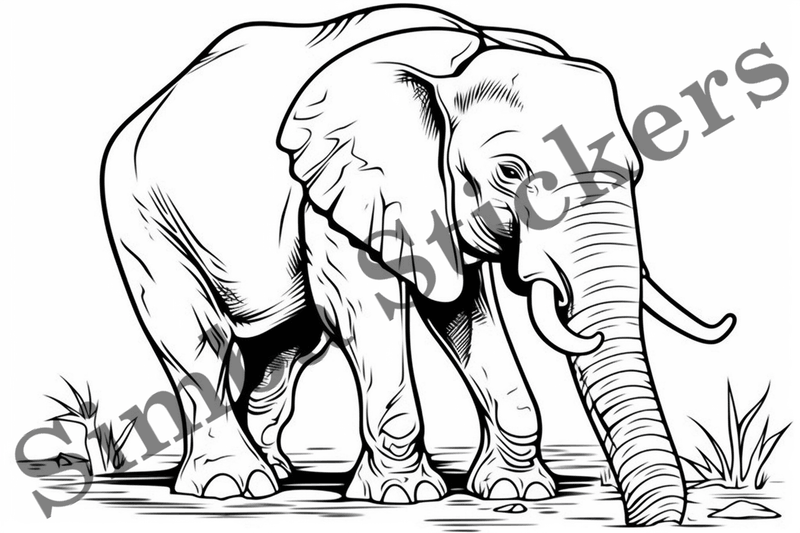 Colouring pages, Bundle of elephants, 25 images
