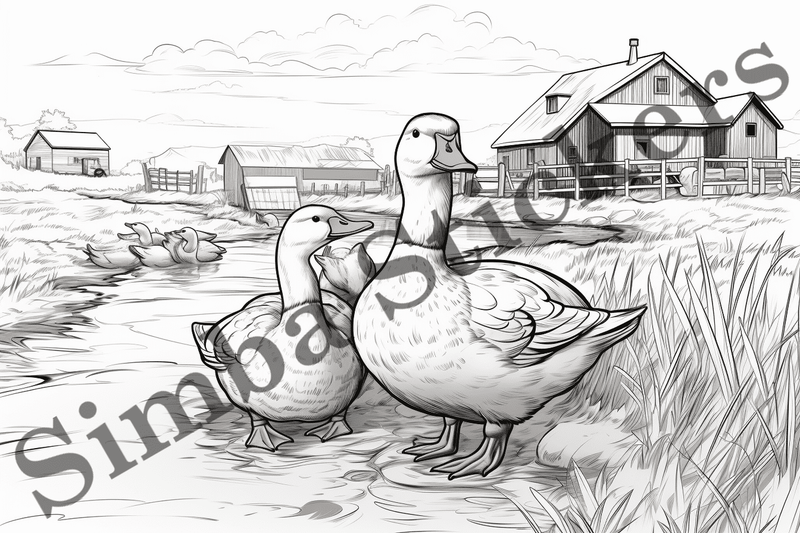 Colouring pages, Bundle of ducks in love, 25 images