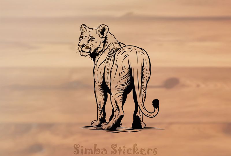 Lioness glancing backwards, outline art, grpgy1