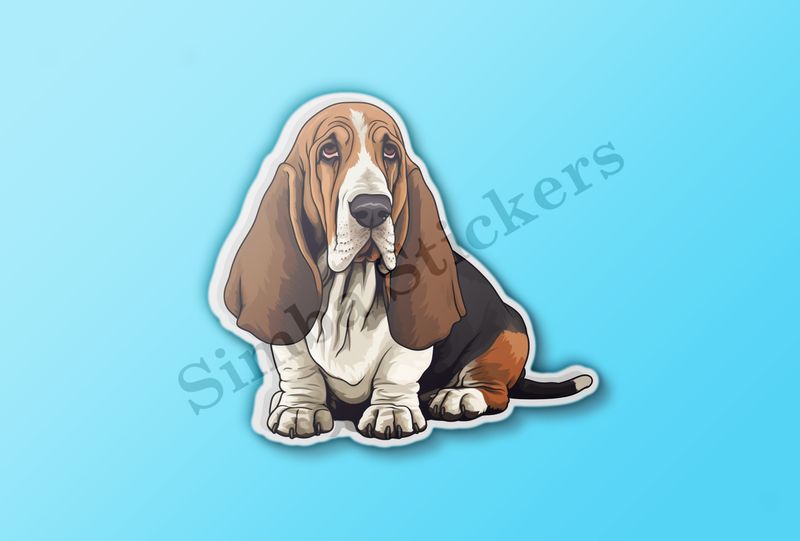 Basset Hound dog