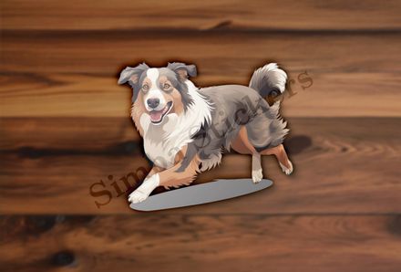 Australian Shepherd dog
