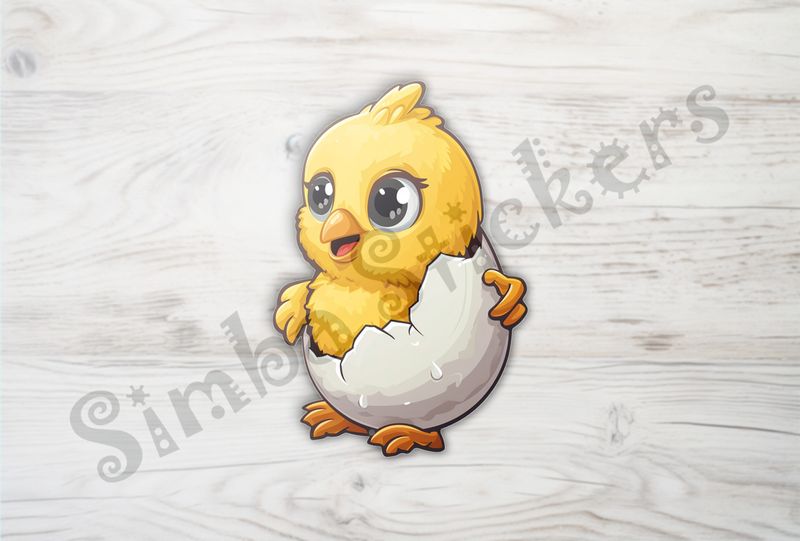 Cute Chick walking around in eggshell of birthday egg